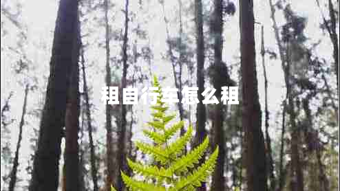 租自行車怎么租