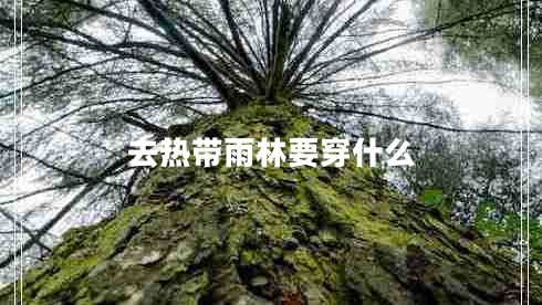 去熱帶雨林要穿什么