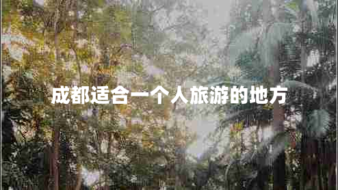 成都適合一個人旅游的地方