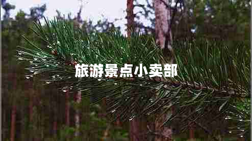 旅游景點(diǎn)小賣部 旅游景點(diǎn)小賣部