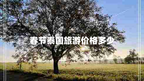 春節(jié)泰國旅游價(jià)格多少