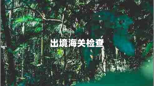 出境海關檢查 出境海關檢查