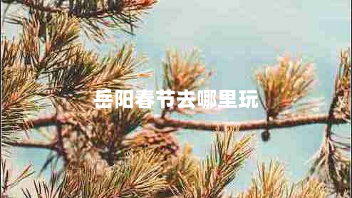 岳陽春節(jié)去哪里玩