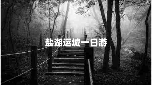 鹽湖運城一日游