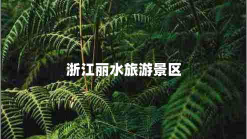 浙江麗水旅游景區(qū)