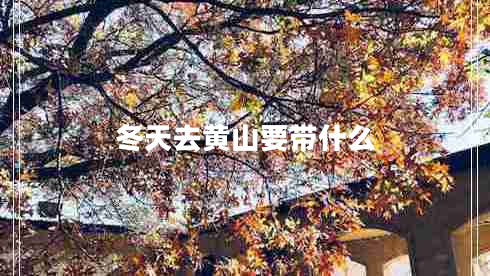 冬天去黃山要帶什么 冬天去黃山要帶什么