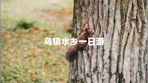 烏鎮(zhèn)水鄉(xiāng)一日游