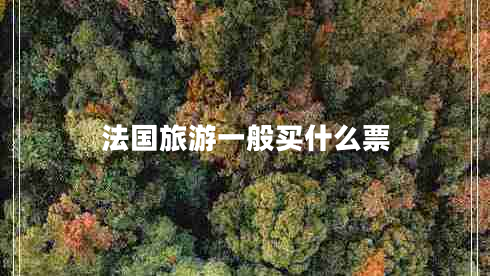 法國旅游一般買什么票