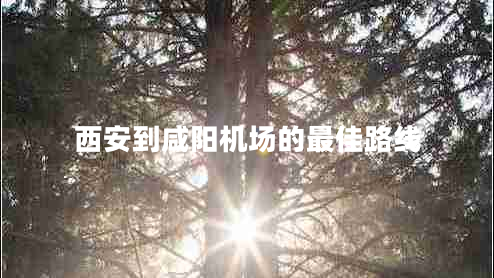 西安到咸陽機(jī)場的最佳路線