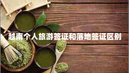 越南個(gè)人旅游簽證和落地簽證區(qū)別