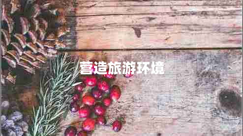 營(yíng)造旅游環(huán)境 營(yíng)造旅游環(huán)境