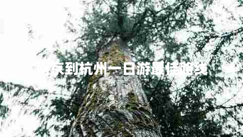 南京到杭州一日游最佳路線
