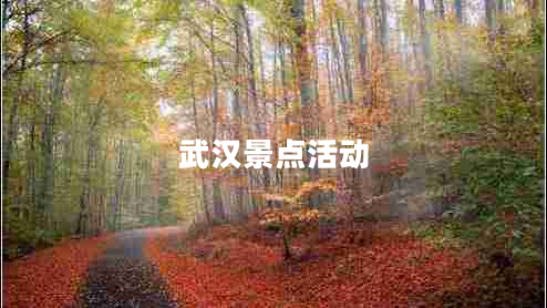 武漢景點(diǎn)活動