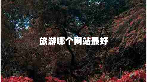 旅游哪個(gè)網(wǎng)站最好