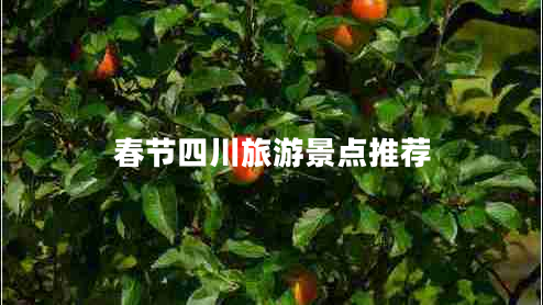 春節(jié)四川旅游景點(diǎn)推薦