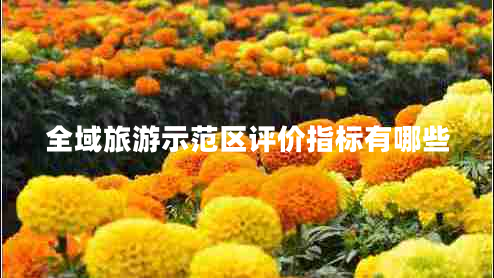 全域旅游示范區(qū)評價指標(biāo)有哪些