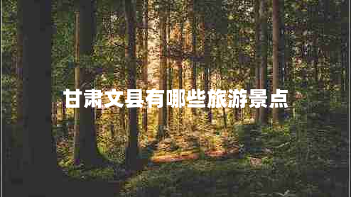 甘肅文縣有哪些旅游景點(diǎn)