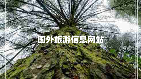 國(guó)外旅游信息網(wǎng)站