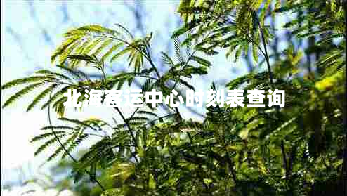 北?？瓦\中心時刻表查詢