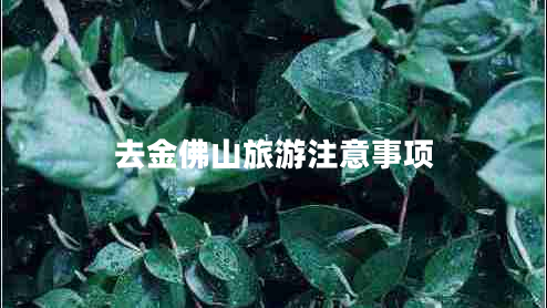 去金佛山旅游注意事項(xiàng)