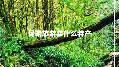 昆明旅游買什么特產(chǎn)