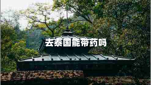 去泰國(guó)能帶藥嗎 去泰國(guó)能帶藥嗎