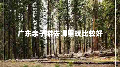 廣東親子游去哪里玩比較好