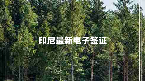 印尼最新電子簽證 印尼最新電子簽證