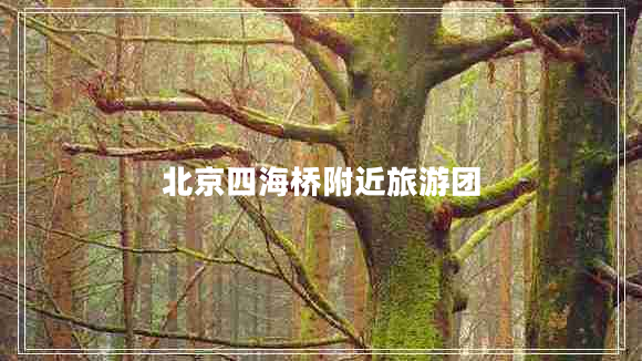北京四海橋附近旅游團