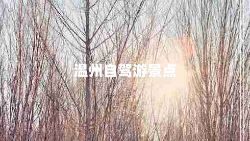 溫州自駕游景點(diǎn)