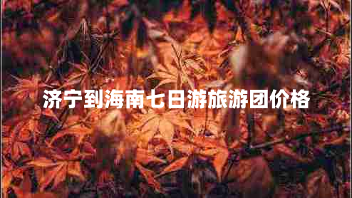 濟寧到海南七日游旅游團價格 濟寧到海南七日游旅游團價格