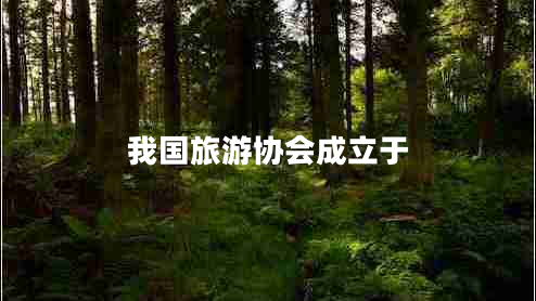 我國旅游協(xié)會(huì)成立于