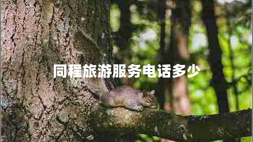 同程旅游服務(wù)電話多少