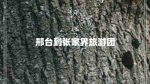 邢臺到張家界旅游團 邢臺到張家界旅游團