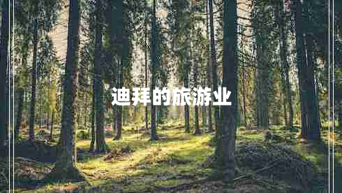 迪拜的旅游業(yè)