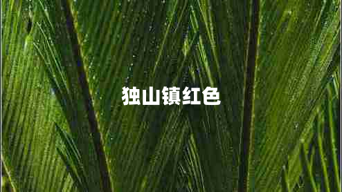 獨(dú)山鎮(zhèn)紅色
