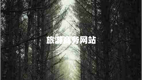 旅游商務(wù)網(wǎng)站
