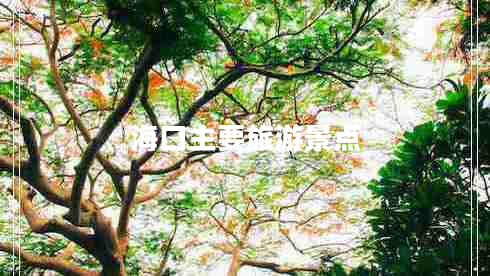 ?？谥饕糜尉包c(diǎn)