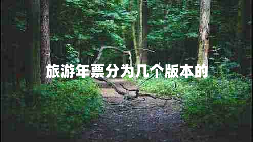 旅游年票分為幾個版本的 旅游年票分為幾個版本的