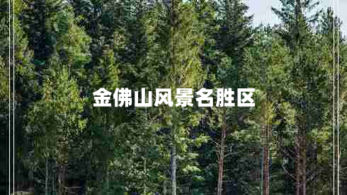金佛山風(fēng)景名勝區(qū)