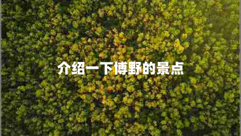 介紹一下博野的景點