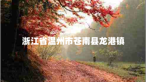 浙江省溫州市蒼南縣龍港鎮(zhèn)