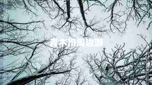 青木川周邊游