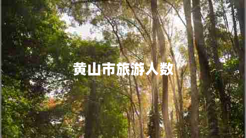 黃山市旅游人數(shù)