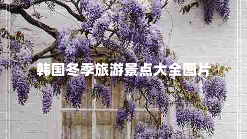 韓國冬季旅游景點大全圖片