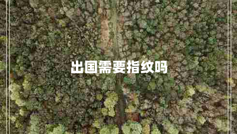 出國需要指紋嗎 出國需要指紋嗎
