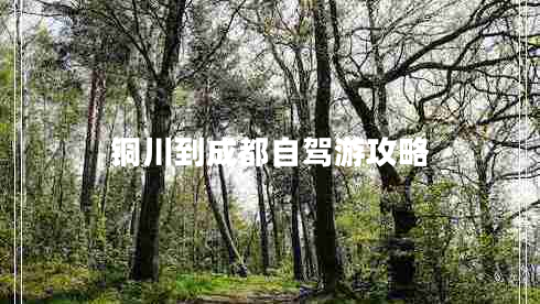 銅川到成都自駕游攻略