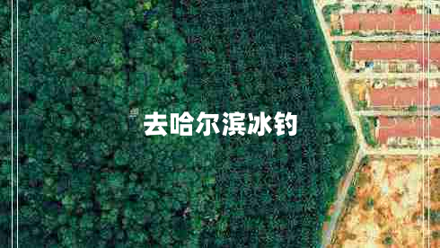 去哈爾濱冰釣 去哈爾濱冰釣