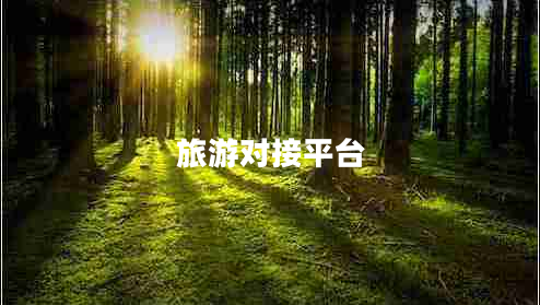 旅游對接平臺