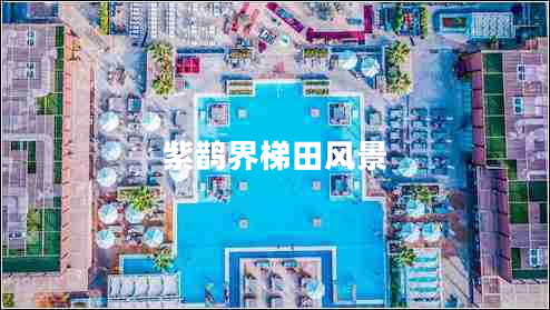 紫鵲界梯田風景